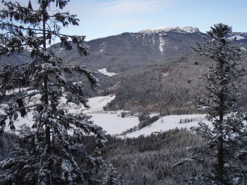 allg04.jpg