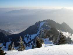 allg06.jpg